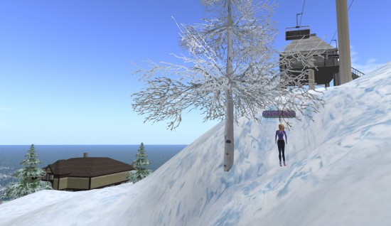 The Cora avatar on Linda Kellie's Mountain Retreat OAR.