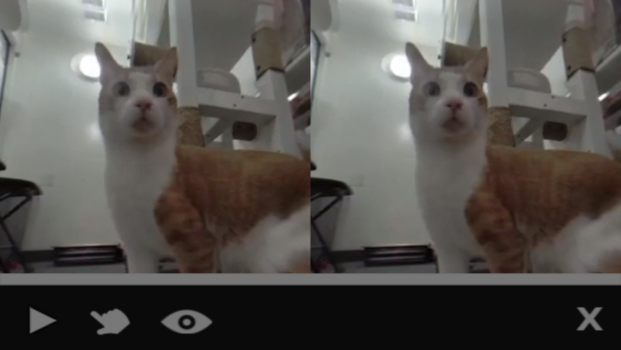 You can now watch your cat videos in 3D.