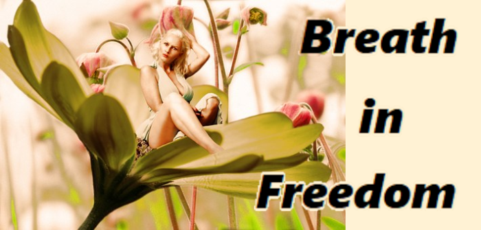 Breath In Freedom Hypergrid Business